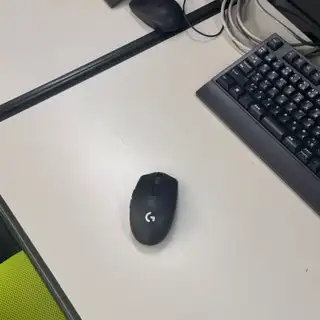 Mice
